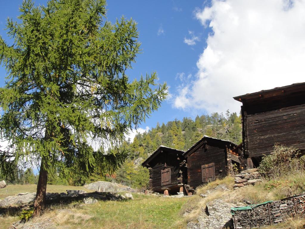 Haus Alpenstern Apartment ซาส-กรุนด์ ภายนอก รูปภาพ