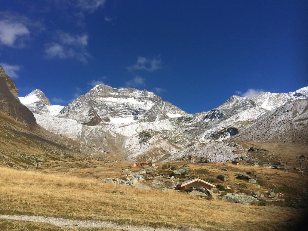 Haus Alpenstern Apartment ซาส-กรุนด์ ภายนอก รูปภาพ