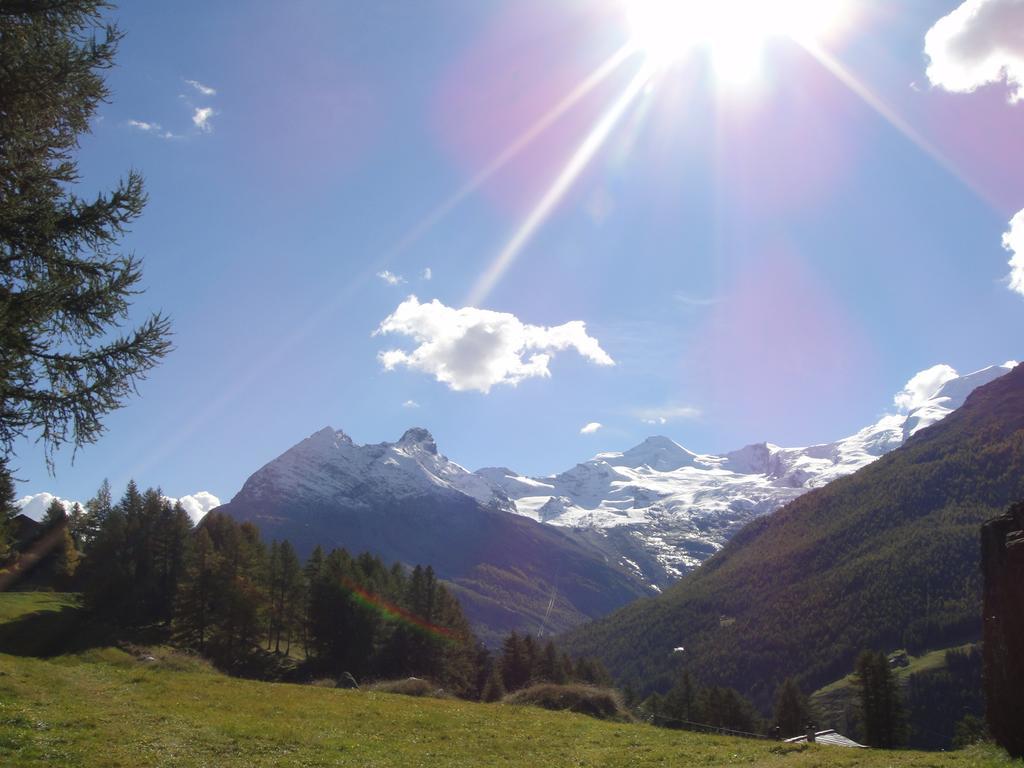 Haus Alpenstern Apartment ซาส-กรุนด์ ภายนอก รูปภาพ
