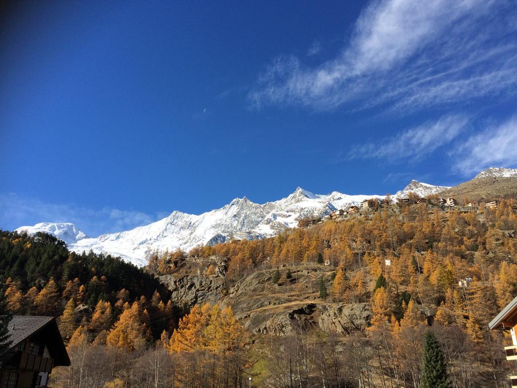 Haus Alpenstern Apartment ซาส-กรุนด์ ภายนอก รูปภาพ