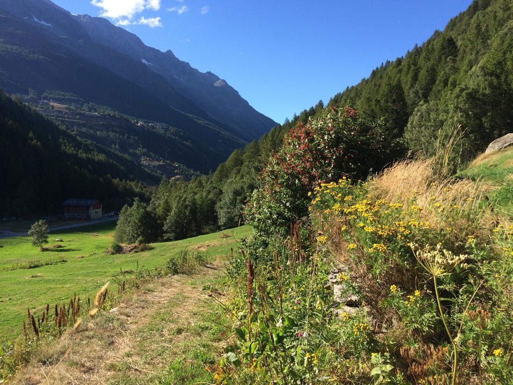 Haus Alpenstern Apartment ซาส-กรุนด์ ภายนอก รูปภาพ