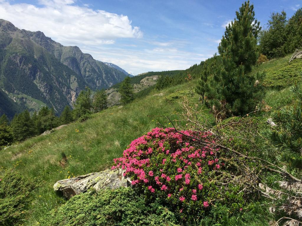 Haus Alpenstern Apartment ซาส-กรุนด์ ภายนอก รูปภาพ