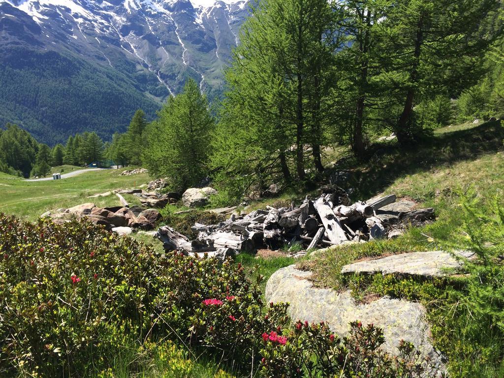 Haus Alpenstern Apartment ซาส-กรุนด์ ภายนอก รูปภาพ